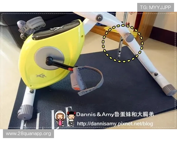 南宫体育运动装备推荐：专业运动器材购买指南与使用技巧分享