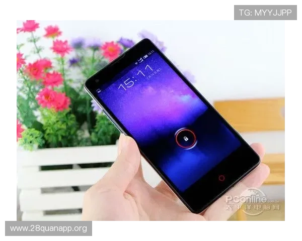 FB体育网站的多平台支持情况，手机端与PC端的无缝切换体验详解